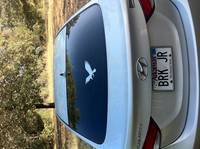 Buddy's photograph of their Flying Crow Sticker
