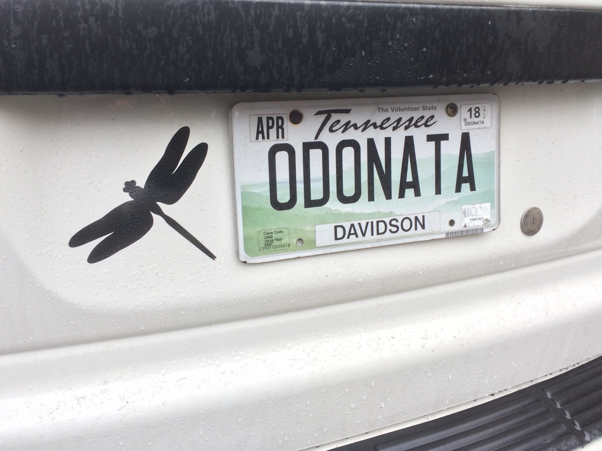 Richard's photograph of their Flying Dragonfly Sticker