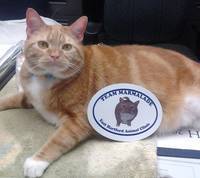 Kelly's photograph of their Custom Printed Oval Stickers