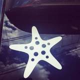 Jennifer's review of Cute Starfish With Dots Sticker