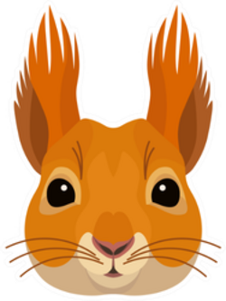 Pretty Squirrel Face Forest Animal Icon Sticker