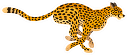 Beautiful Running Cheetah Big Wild Cat Sticker
