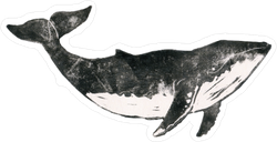 Black and White Whale Illustration Sticker