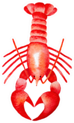 Red Lobster Watercolour Illustration Sticker