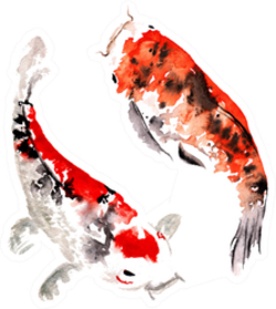 Hand-drawn Watercolor Fairy Japanese Koi Sticker