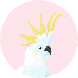 2d Portrait Of Cockatoo On The Pink Background Sticker