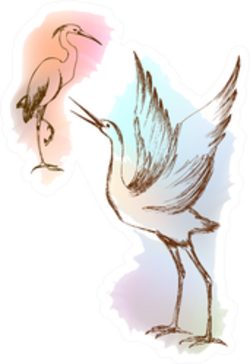 Illustration Heron Crane With Colorful Paint Sticker