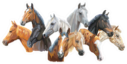 Set Of Colorful Portraits Of Horses Breeds Sticker