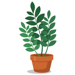 Indoor ZZ Potted Plant Sticker