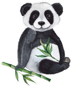 Watercolor Compositions With Pandas Sticker