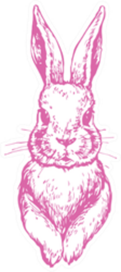 Bunny Cute Rabbit Animal Ink Pink Sticker
