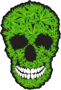 Cannabis Skull Sticker