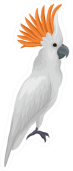 Portrait Of Sulphur-crested Cockatoo Exotic Sticker