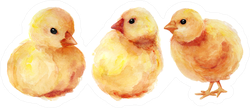 Watercolor Easter Chickens Sticker