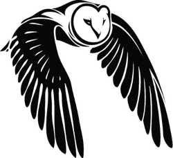 Flying Owl Sticker