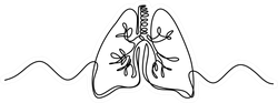 Single Continuous Line Art Of Lungs Human Organ Sticker