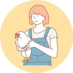 A Girl Holding A Healthy Chicken Illustration Sticker