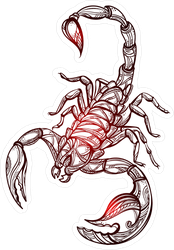 Ornate Exquisite Scorpion Sticker