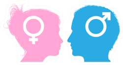 Silhouette Male And Female Sex Symbol Sticker