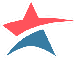 Abstract Star Logo Sticker