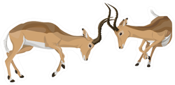 African Antelope Fighting Sticker