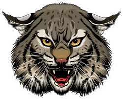 Angry Illustrated Bobcat Head Sticker