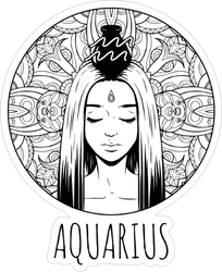 Aquarius Artwork Sticker