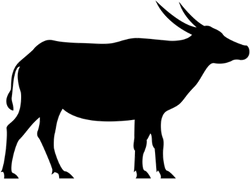 Asiatic Buffalo Silhouette Sticker