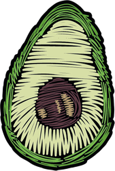 Avocado Scribbles Sticker