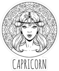 Capricorn Artwork Sticker
