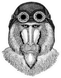 Baboon Wearing Motorcycle Helmet Sticker
