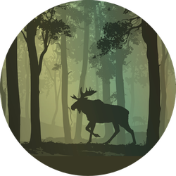 Background With Moose Walking In The Forest Sticker