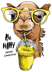 Be Happy Drink Smoothie Funny Camel Sticker