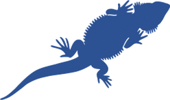 bearded dragon decal