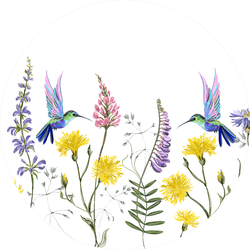 Beautiful Botanical Floral Meadow Of Hummingbirds Sticker