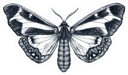 Beautiful Butterfly Ink Sketch Tattoo Sticker