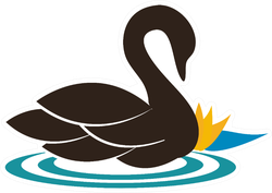 Beautiful Swan Illustration Swimming Near The Water Lily Sticker