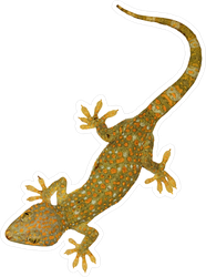 lizard decals