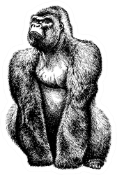 Black And White Engrave Isolated Gorilla Illustration Sticker