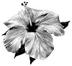 Black and White Hibiscus Sticker