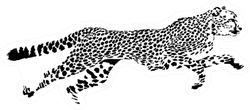 Black And White Sketch Of Running Cheetah Sticker
