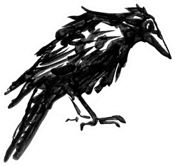 Black Crow Isolated On White Drawn Ink Sticker