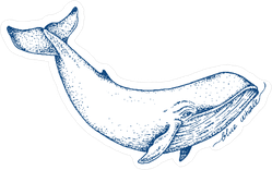 Blue Whale Ink Sketch Sticker