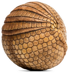 Brazilian Three-banded Armadillo Rolled Up In Ball Sticker
