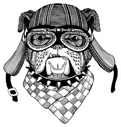 Bulldog Wild Biker Animal Wearing Motorcycle Helmet Sticker