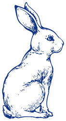 Bunny Cute Rabbit Animal Ink Hand Drawn Sticker