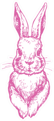 Bunny Cute Rabbit Animal Ink Pink Sticker