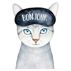 Grey Kitty Wearing Black Sleeping Mask "bonjour" French Sticker