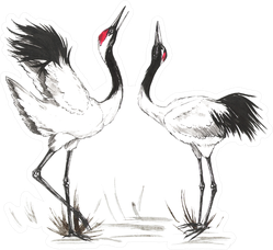 Watercolor Painting Of Oriental Asian Couple Of Cranes Sticker