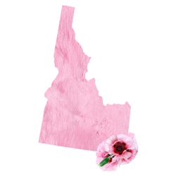 Pink Fur Idaho Floral Sticker
